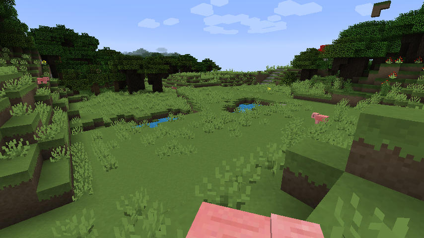 http://d-rops.com/minecraft/2014-06-27_13.05.02.png